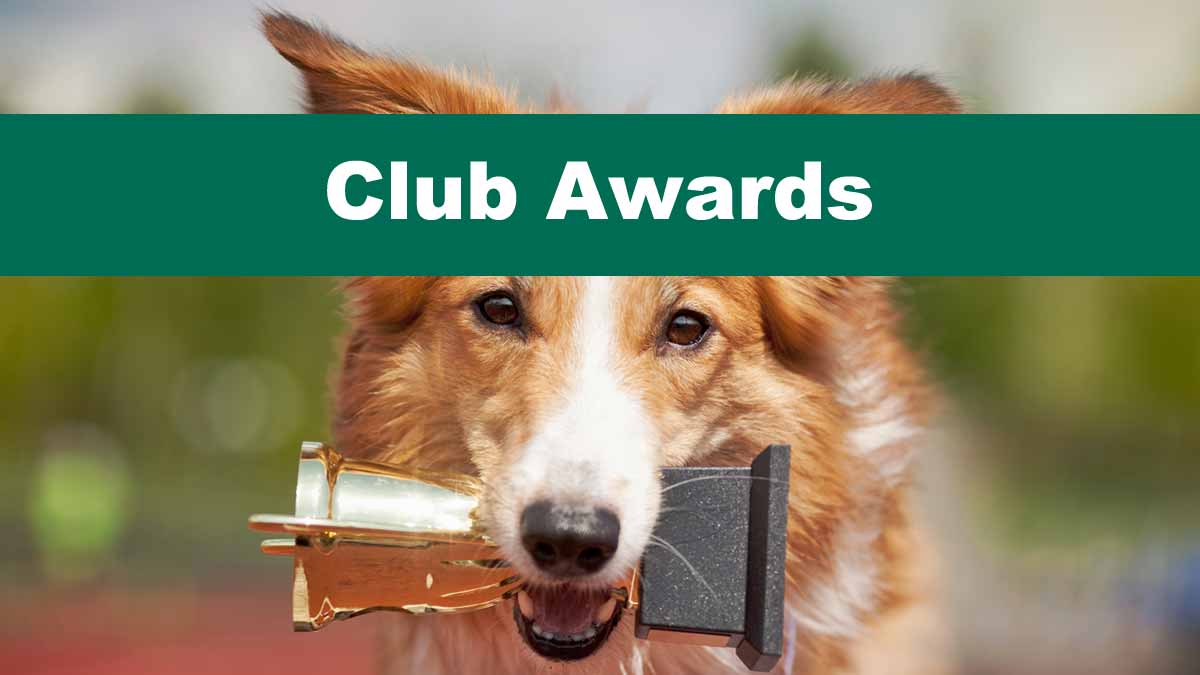 northern suburbs dog training club awards